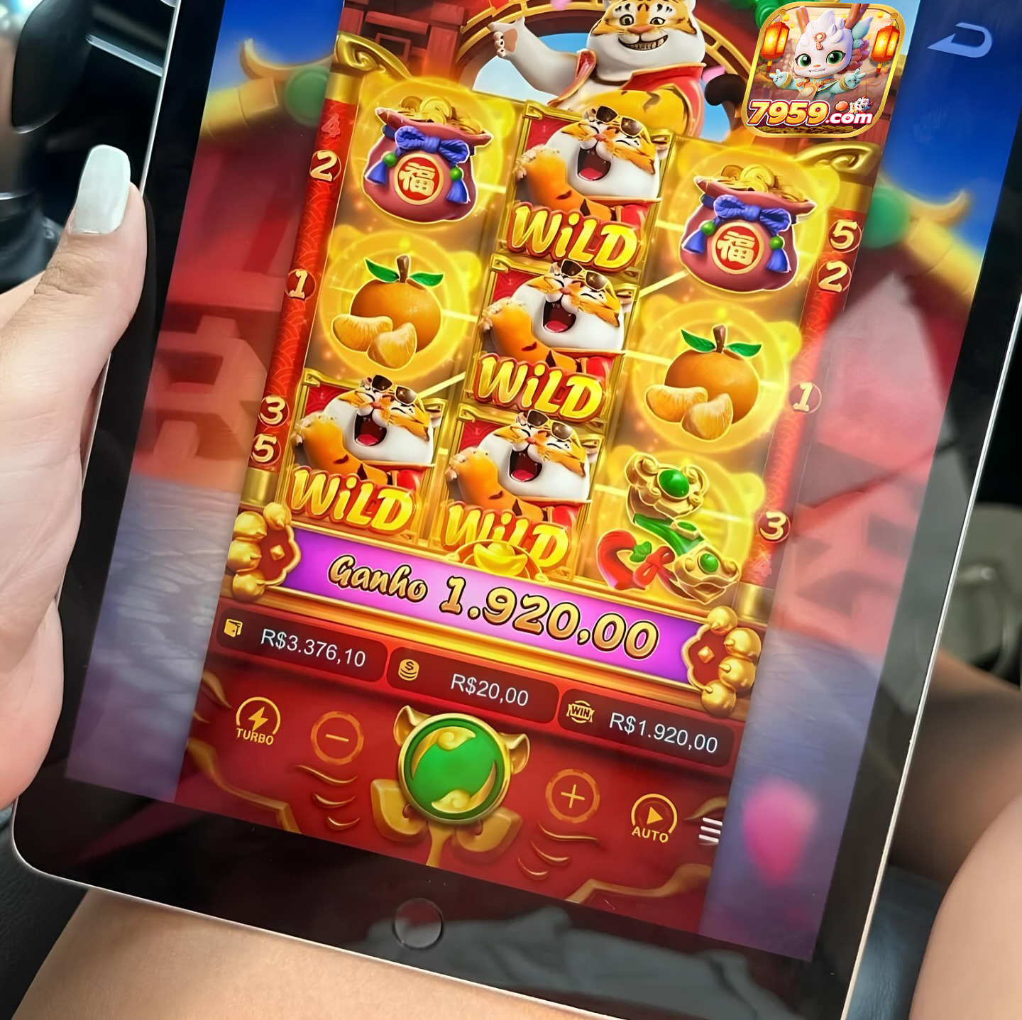 fortune tiger reclame aqui 