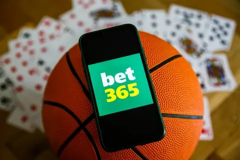 wild bet 